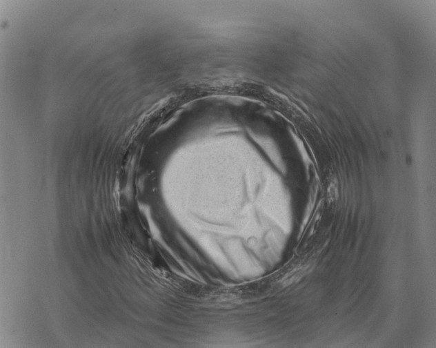 X0000072531156200608041550