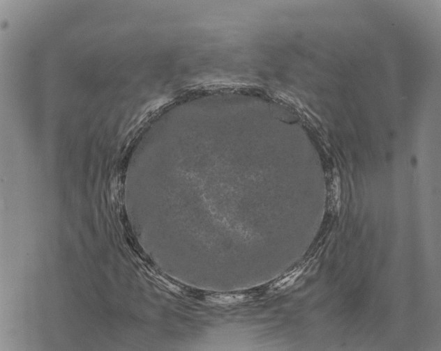 X0000072531157200608041550