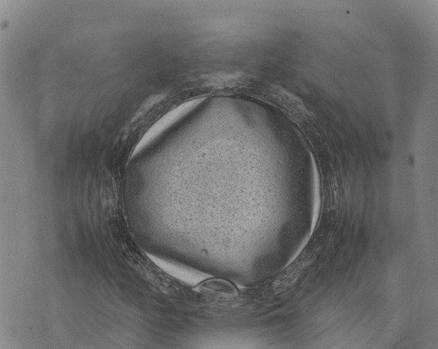 X0000072531158200608041550