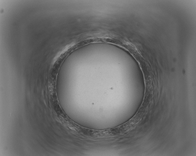 X0000072531159200608041550