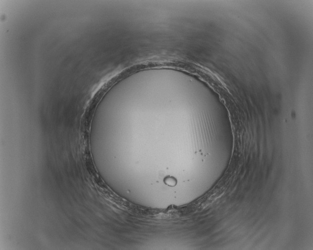 X0000072531160200608041550