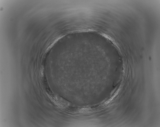 X0000072531161200608041550