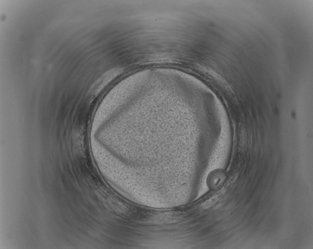 X0000072531162200608041550