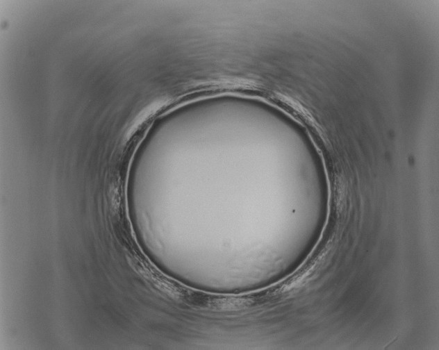 X0000072531163200608041550