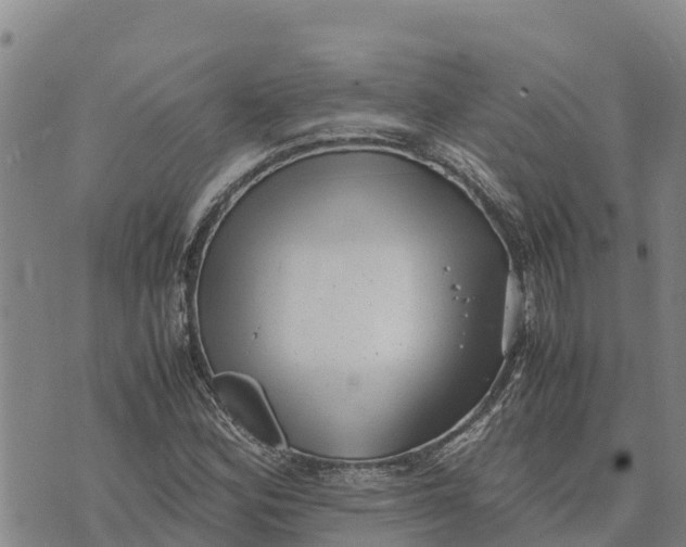 X0000072531164200608041550