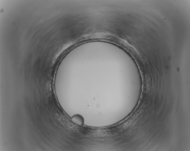 X0000072531166200608041550