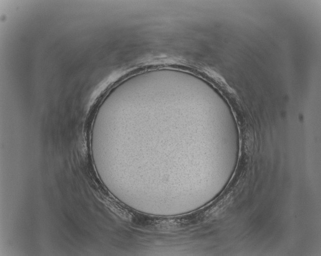 X0000072531167200608041550