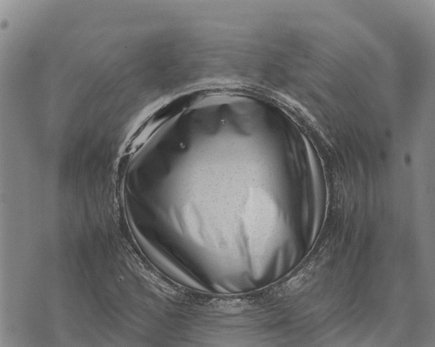 X0000072531168200608041550