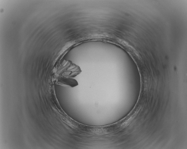 X0000072531170200608041550