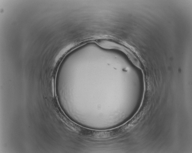 X0000072531171200608041550