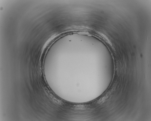 X0000072531172200608041550