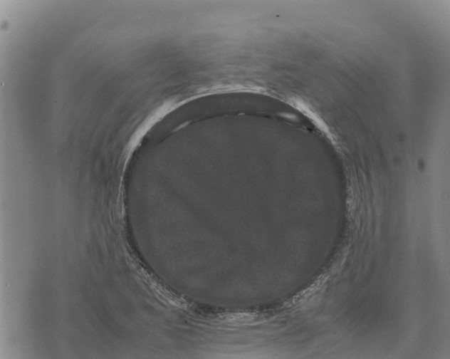 X0000072531173200608041550