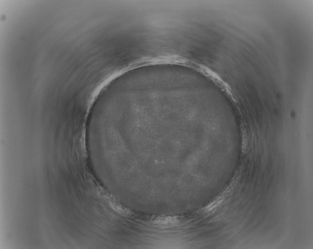 X0000072531174200608041550