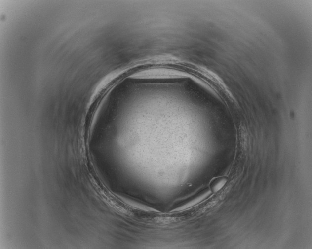 X0000072531176200608041550