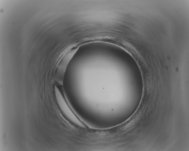 X0000072531177200608041550