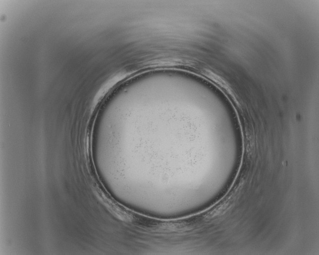 X0000072531179200608041549