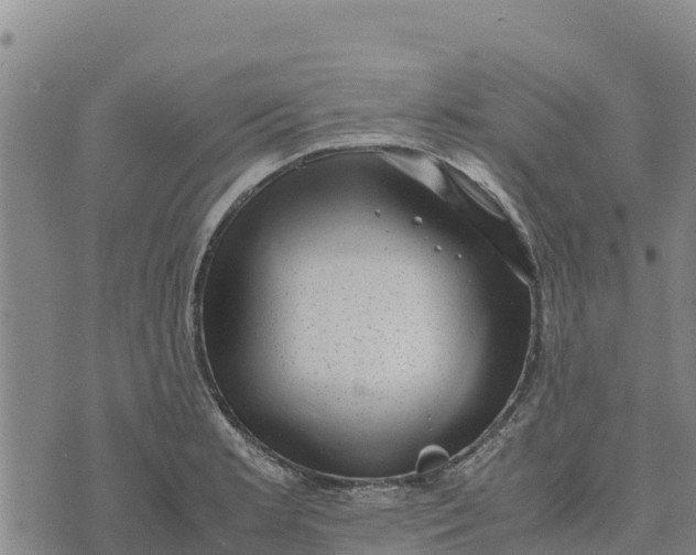 X0000072531181200608041549