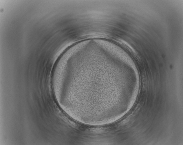 X0000072531182200608041549