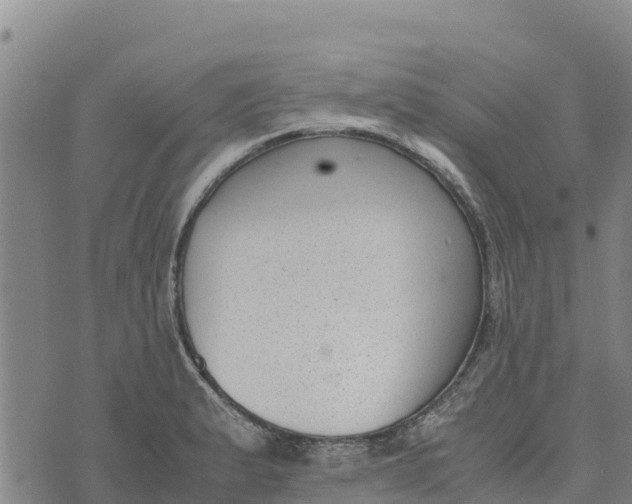 X0000072531183200608041549