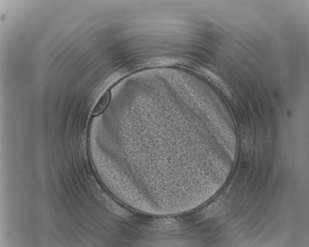 X0000072531186200608041549