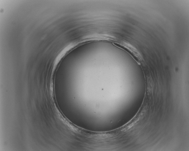 X0000072531188200608041549