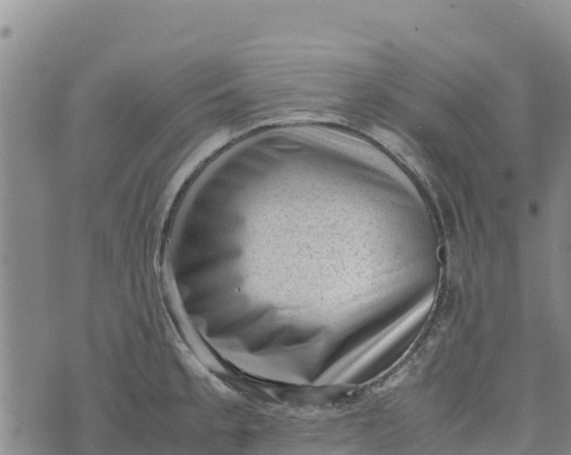 X0000072531189200608041549