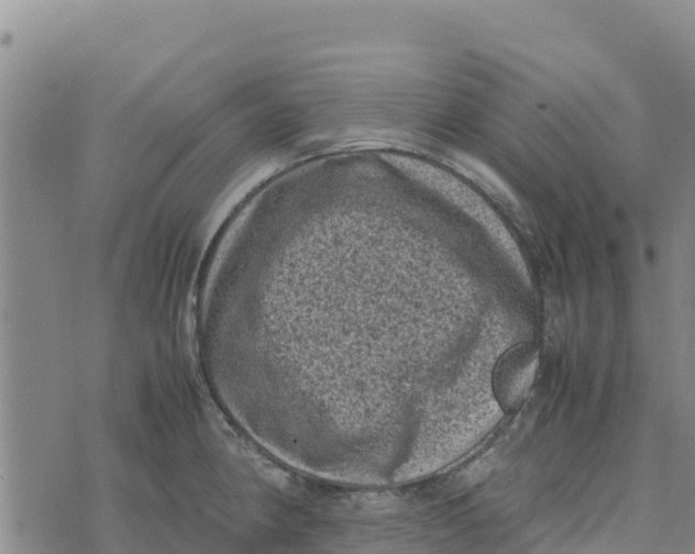 X0000072531190200608041549