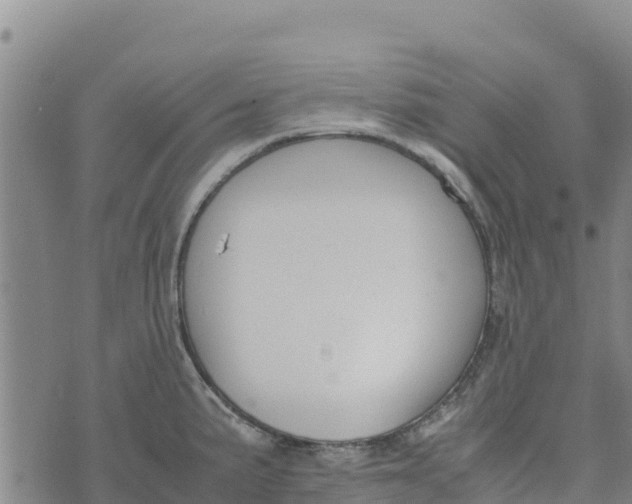 X0000072531191200608041549