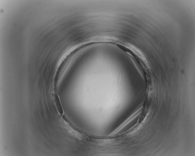 X0000072531192200608041549