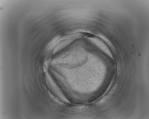 X0000072531193200608041549