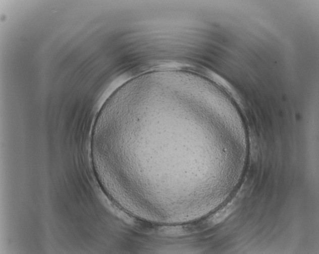 X0000072531194200608041549