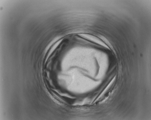 X0000072531197200608041549