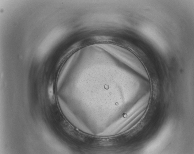 X0000072531198200608041549