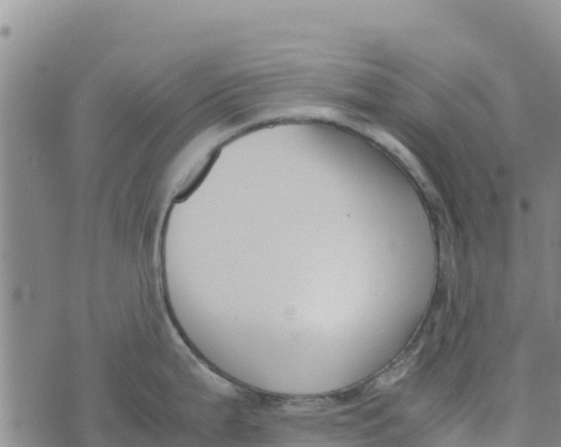 X0000072531199200608041549