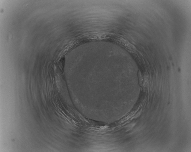 X0000072531202200608041548