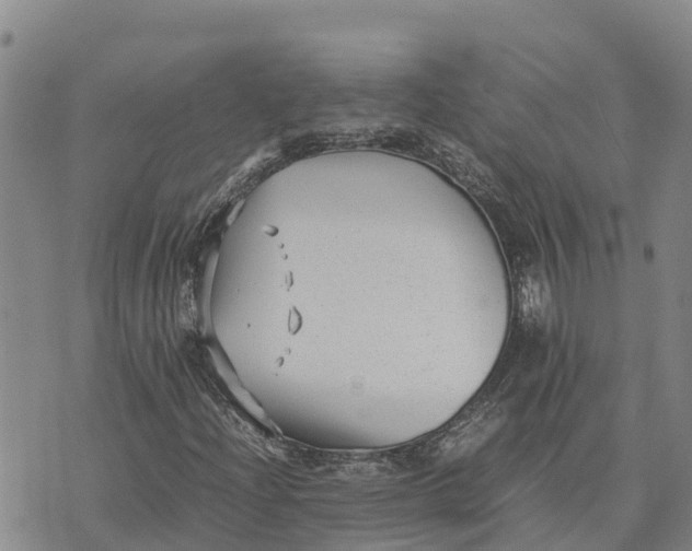 X0000072531204200608041548