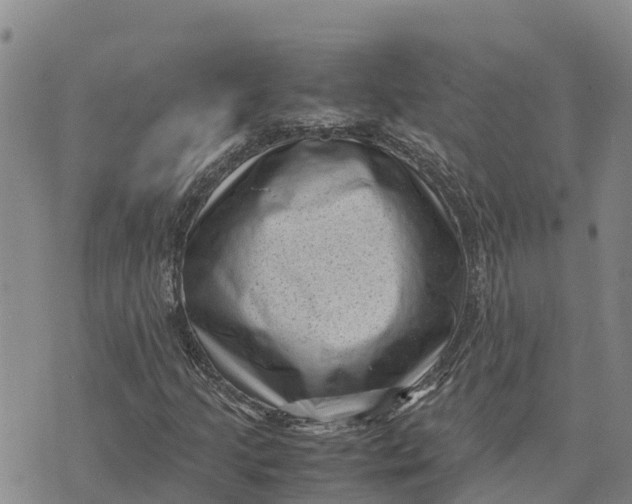 X0000072531205200608041548