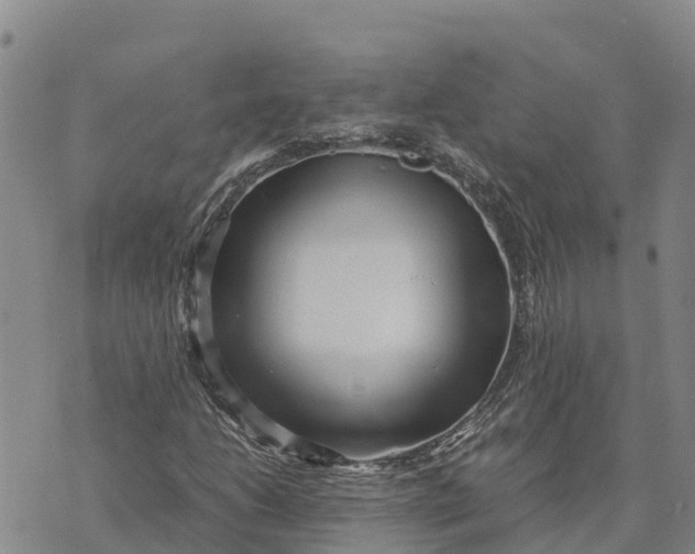 X0000072531206200608041548