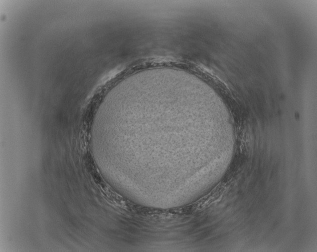 X0000072531207200608041548