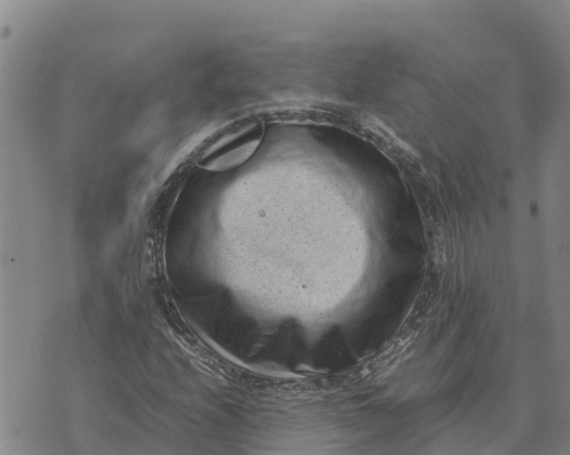 X0000072531208200608041548