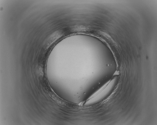 X0000072531209200608041548