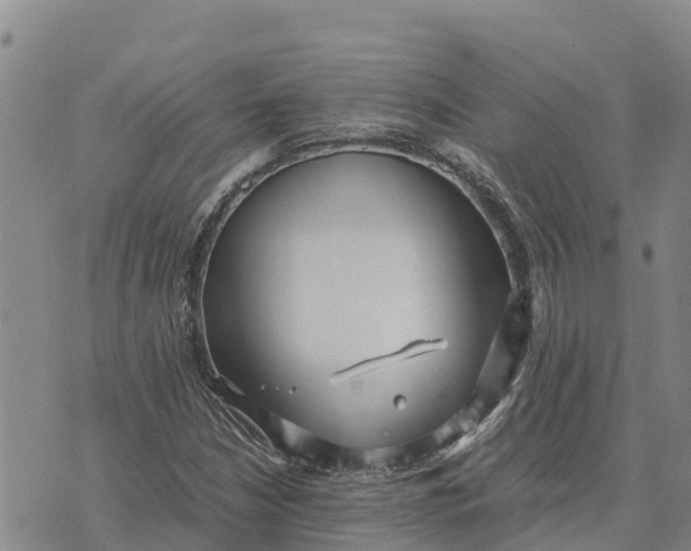 X0000072531210200608041548