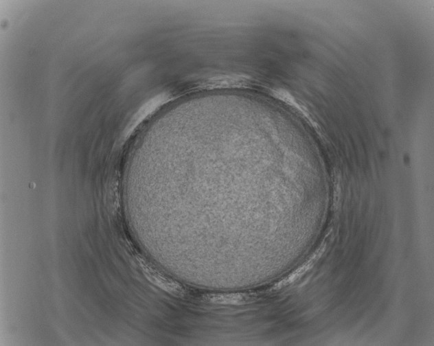 X0000072531211200608041549