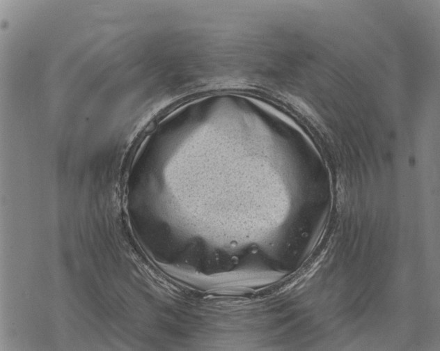 X0000072531212200608041549