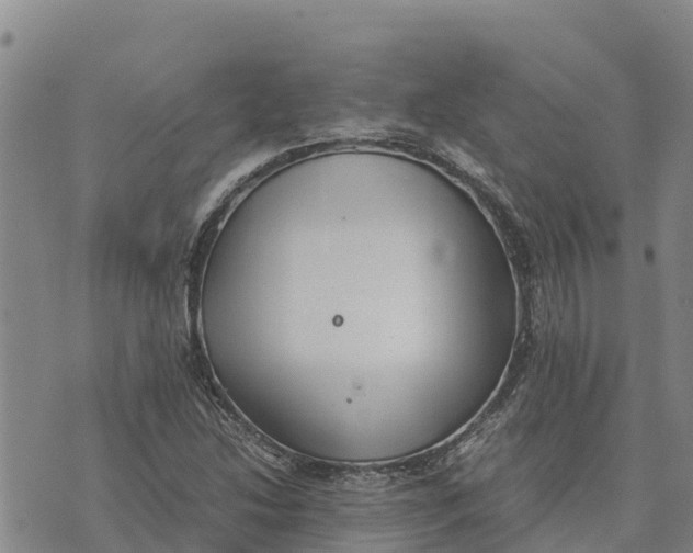 X0000072531214200608041549