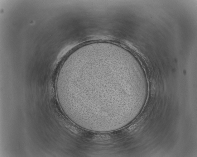 X0000072531215200608041549