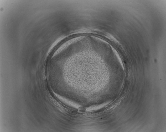 X0000072531216200608041549