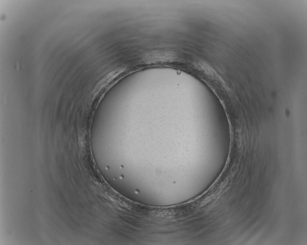 X0000072531217200608041549