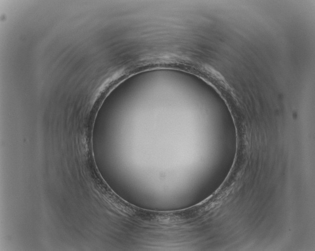 X0000072531218200608041549