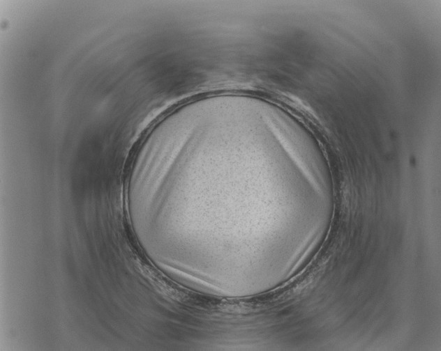 X0000072531220200608041549